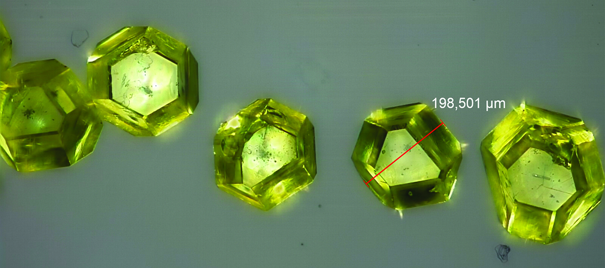 Synthetic diamond crystals observed under a microscope